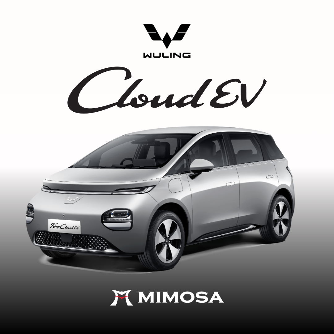 New Cloud EV